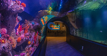 Aquariumtunnel.