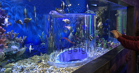 Wuxi oceaan onderwereld aquarium project.