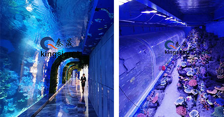 Oceaan aquarium tunnelproject.