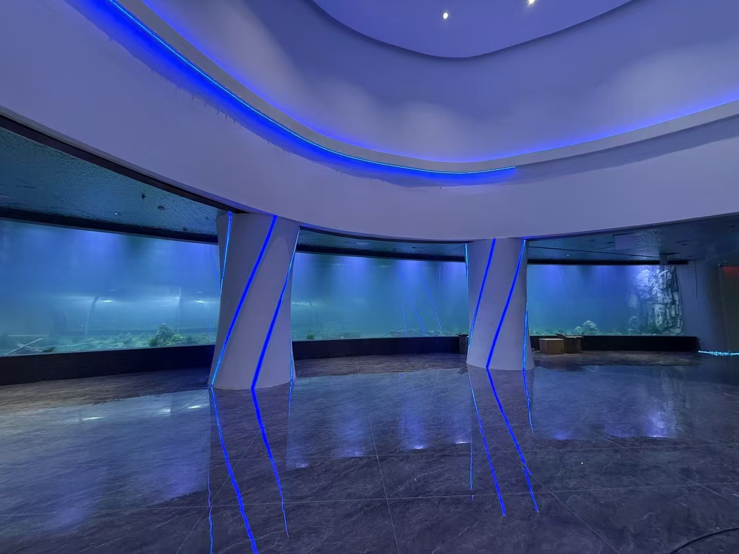 Wat zijn de voordelen van acrylplaat in grote aquariumramen?