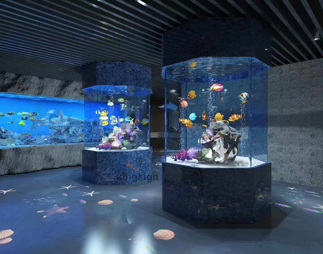 De heldere parel van de aquariumwereld -grote acrylvissertank