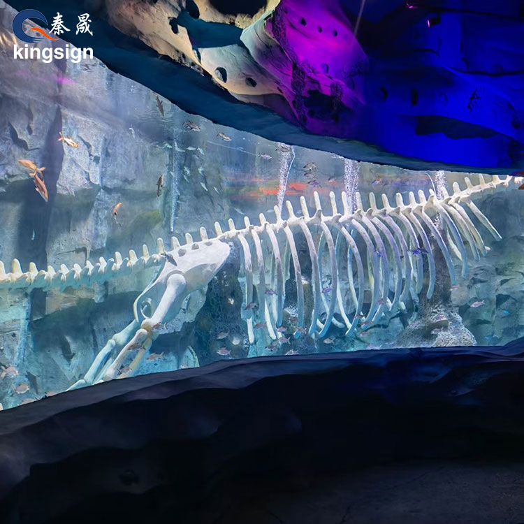 Hoe verbeteren aquariumramen grootschalige kijkervaringen?