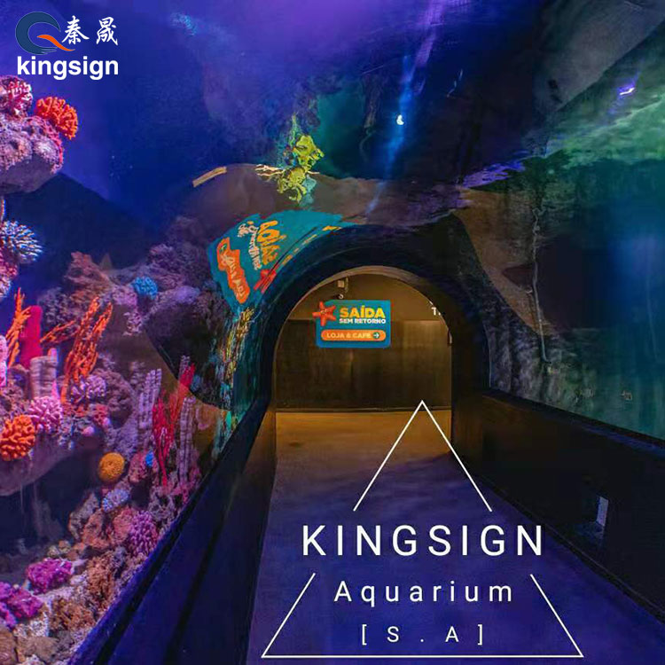 Hoe kan een openbaar aquarium de bezoekerservaring en bedrijfswaarde transformeren?
